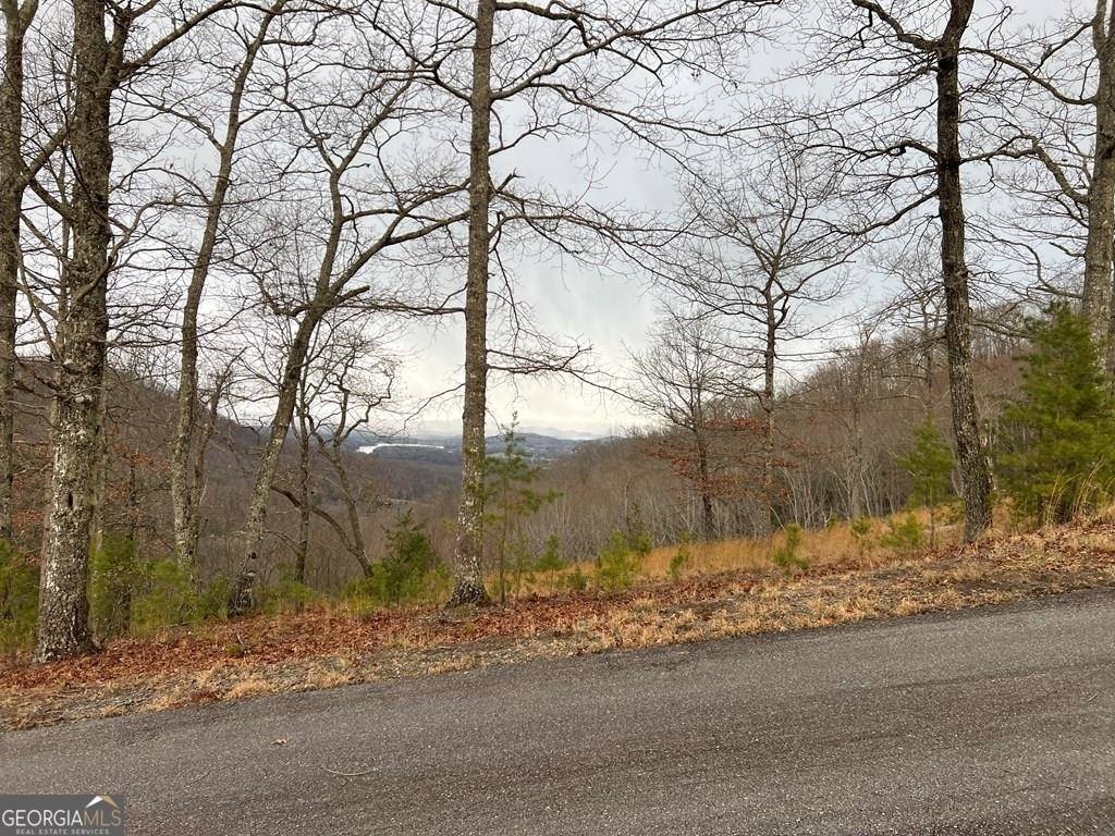 Hayesville, NC 28904,LOT 137 Shiloh Ridge