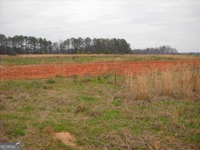 Milner, GA 30257,LOT 11-14 Mathews Rd