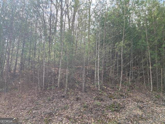 Blairsville, GA 30512,LOT 10 Lower Fox Trail RD