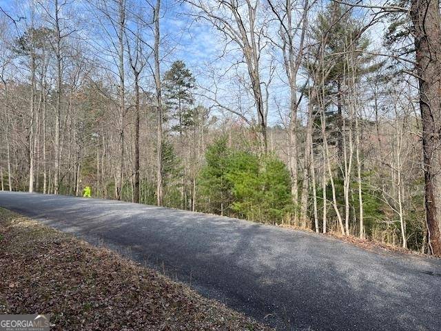 Blairsville, GA 30512,LOT 10 Lower Fox Trail RD