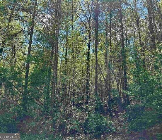 Fort Valley, GA 31030,LOT 3 Alexander WAY