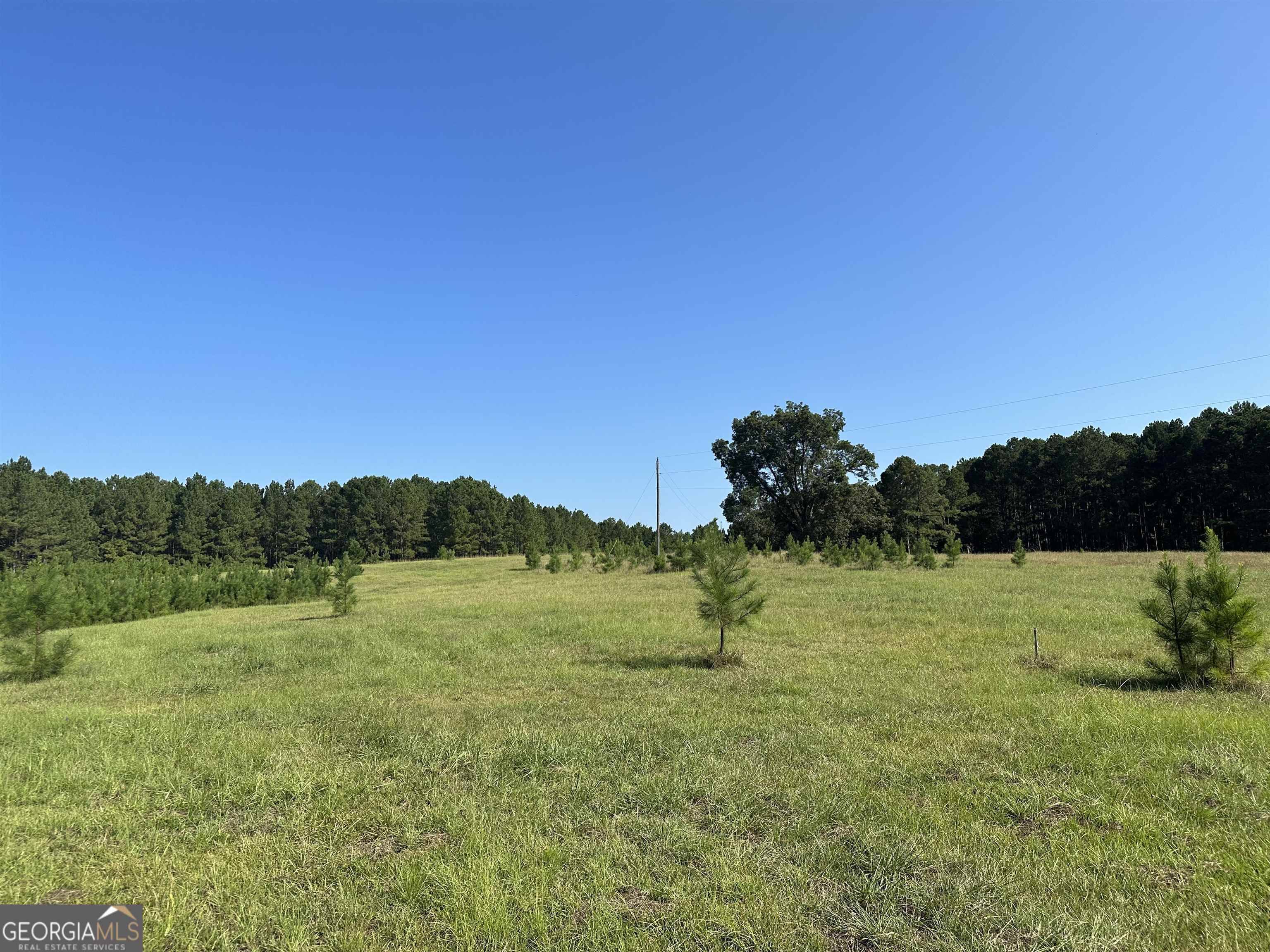 Woodbury, GA 30293,0 Lee Brown RD #7.26 ACRES