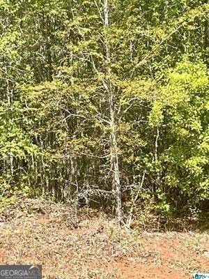 Lanett, AL 36863,LOT 5 13th Court