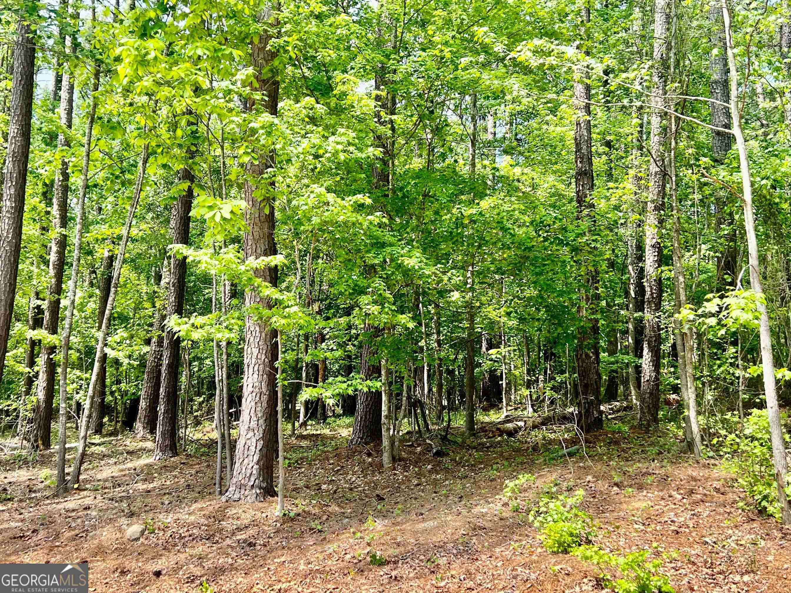 Eatonton, GA 31024,103 Lake Ridge RD #LOT 55