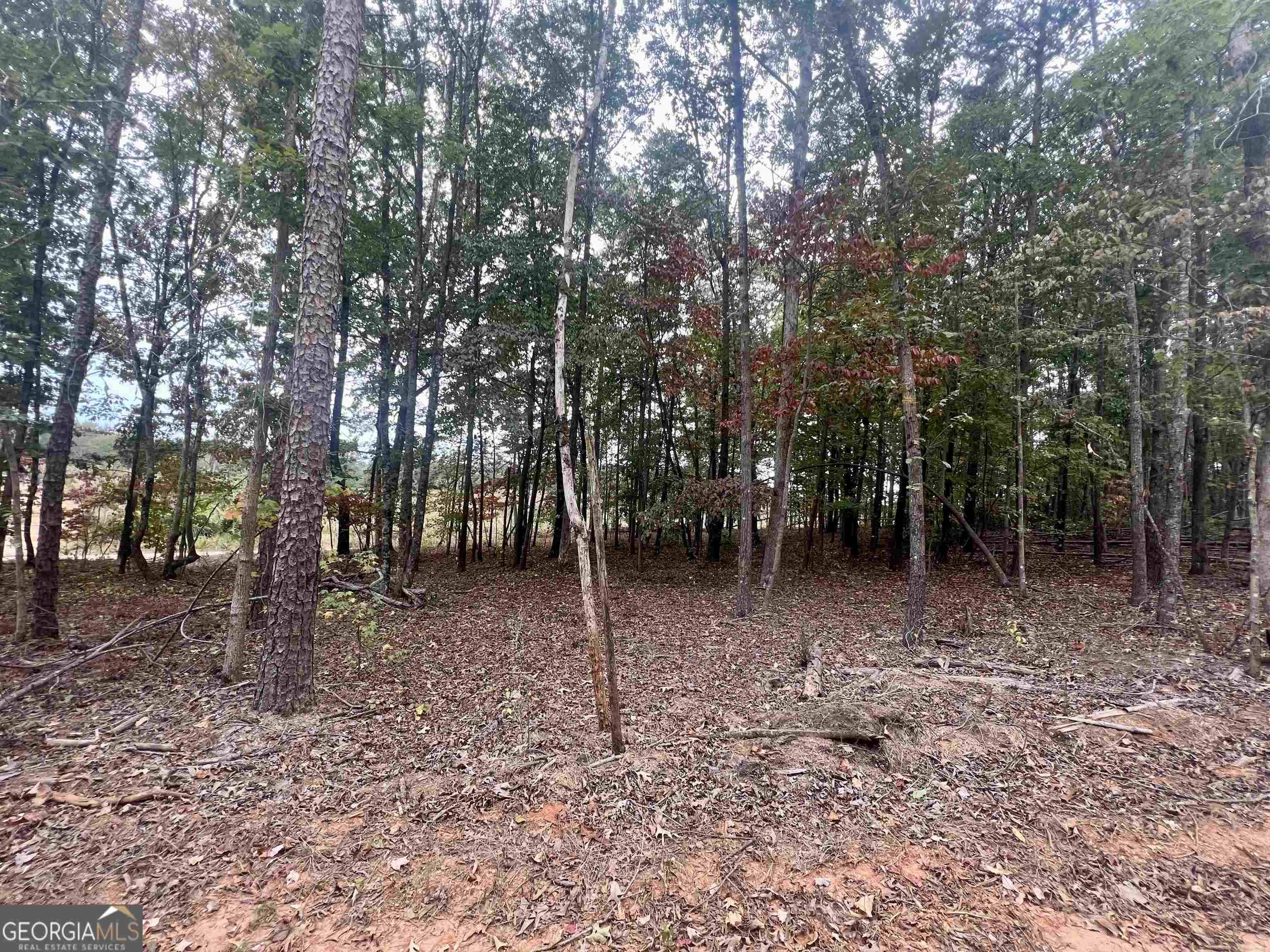 Cornelia, GA 30531,LOT 1 Parker PT