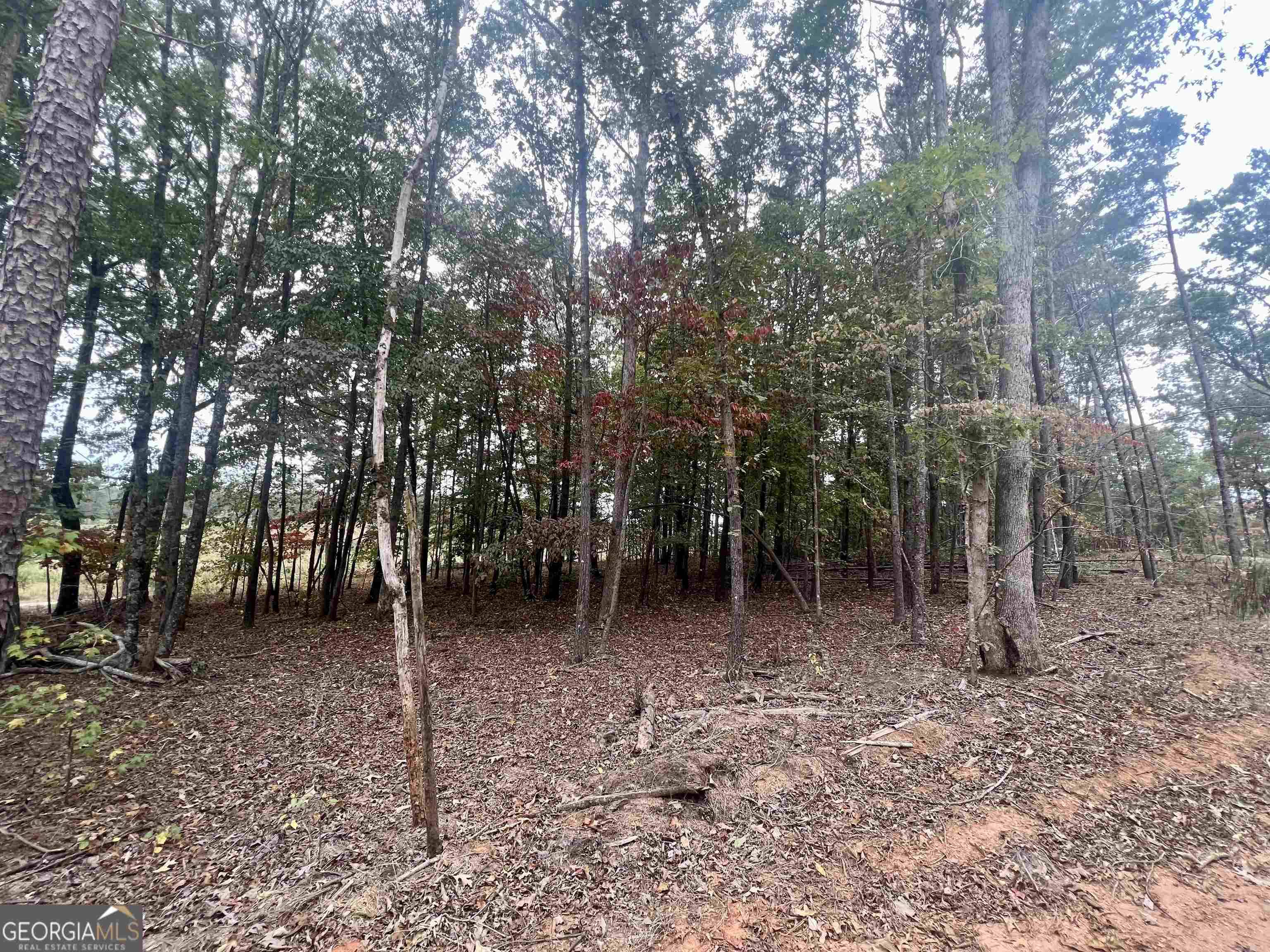 Cornelia, GA 30531,LOT 1 Parker PT