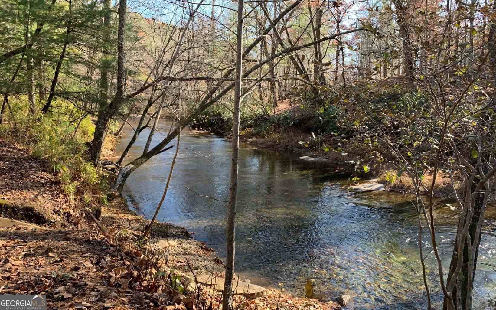 Hayesville, NC 28904,LOT 49 Fires Creek CV