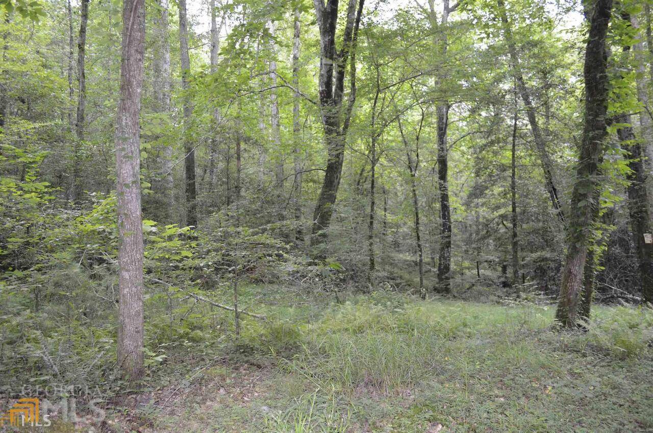 Ellijay, GA 30540,0 Maple Rest LN #LOT 3