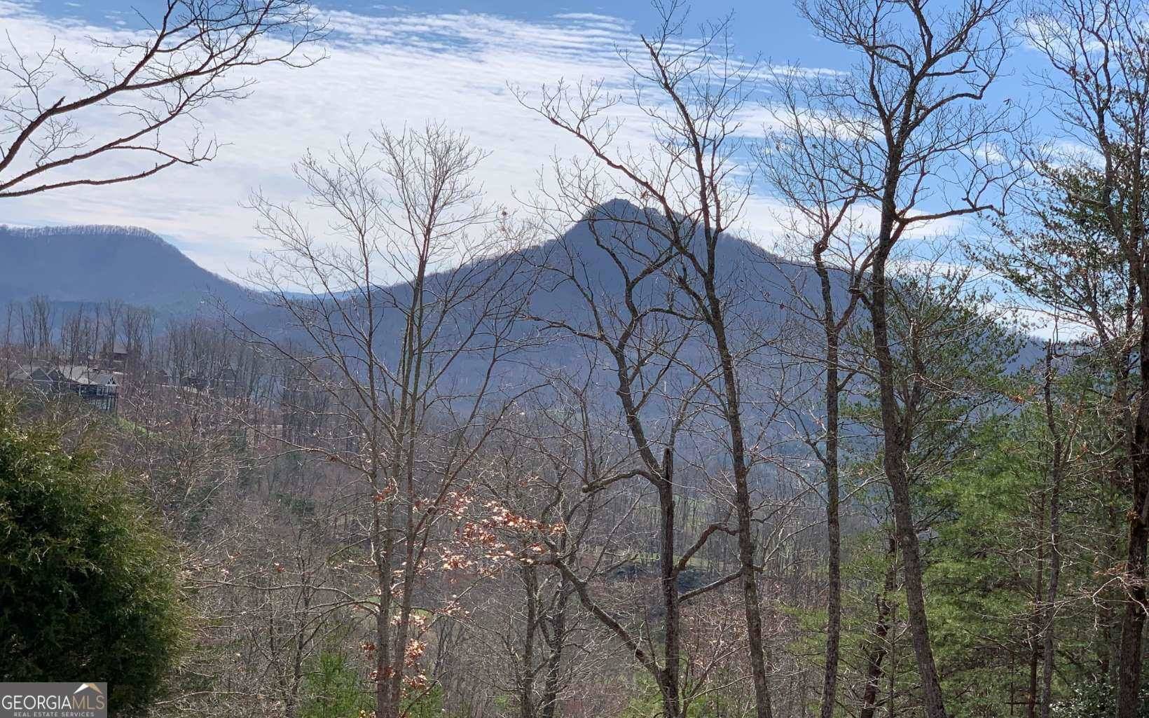 Hayesville, NC 28904,LOT 42 Dan Knob