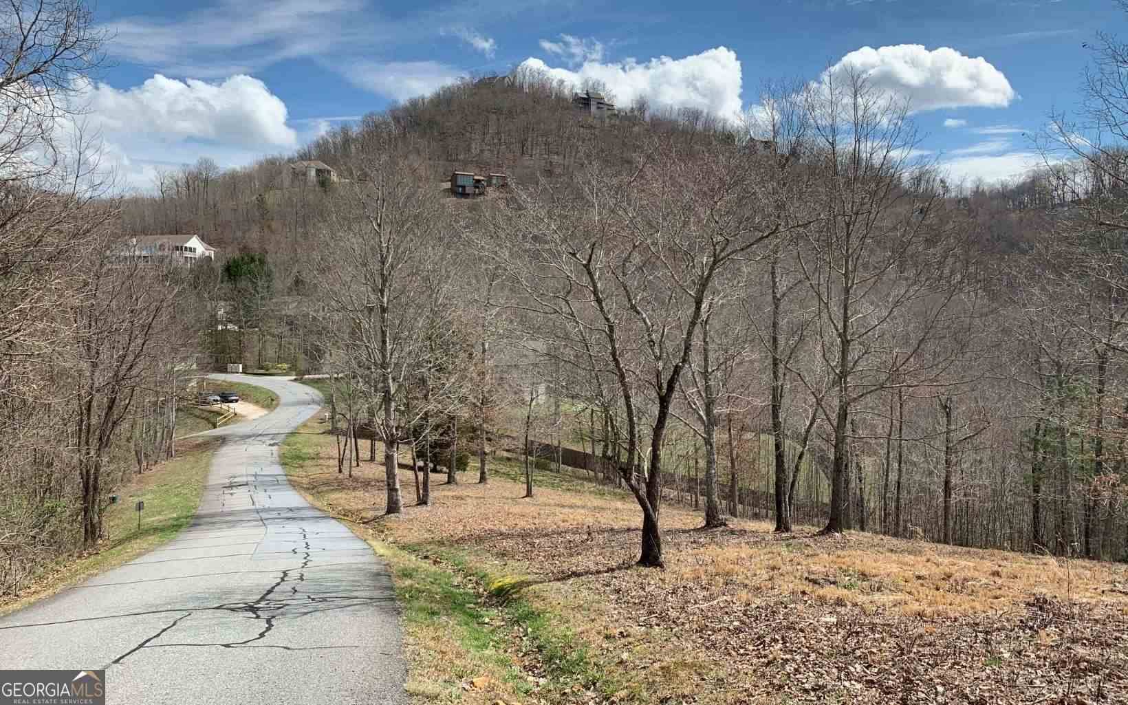 Hayesville, NC 28904,LOT 42 Dan Knob