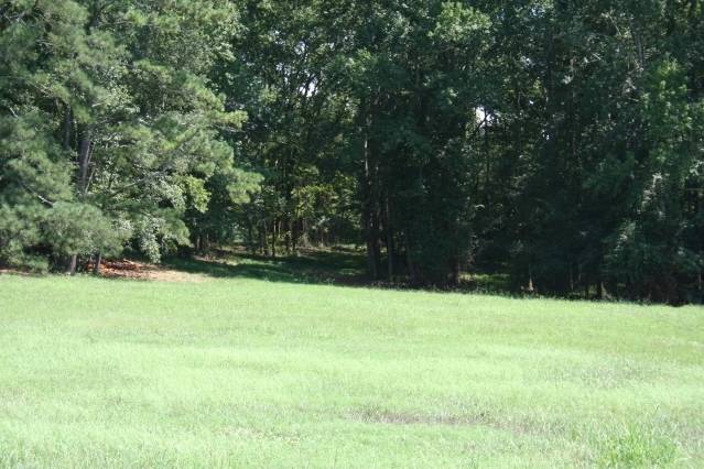 Social Circle, GA 30025,40 Meadow TRL