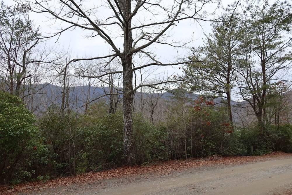 Hiawassee, GA 30546,36 Baldview RD