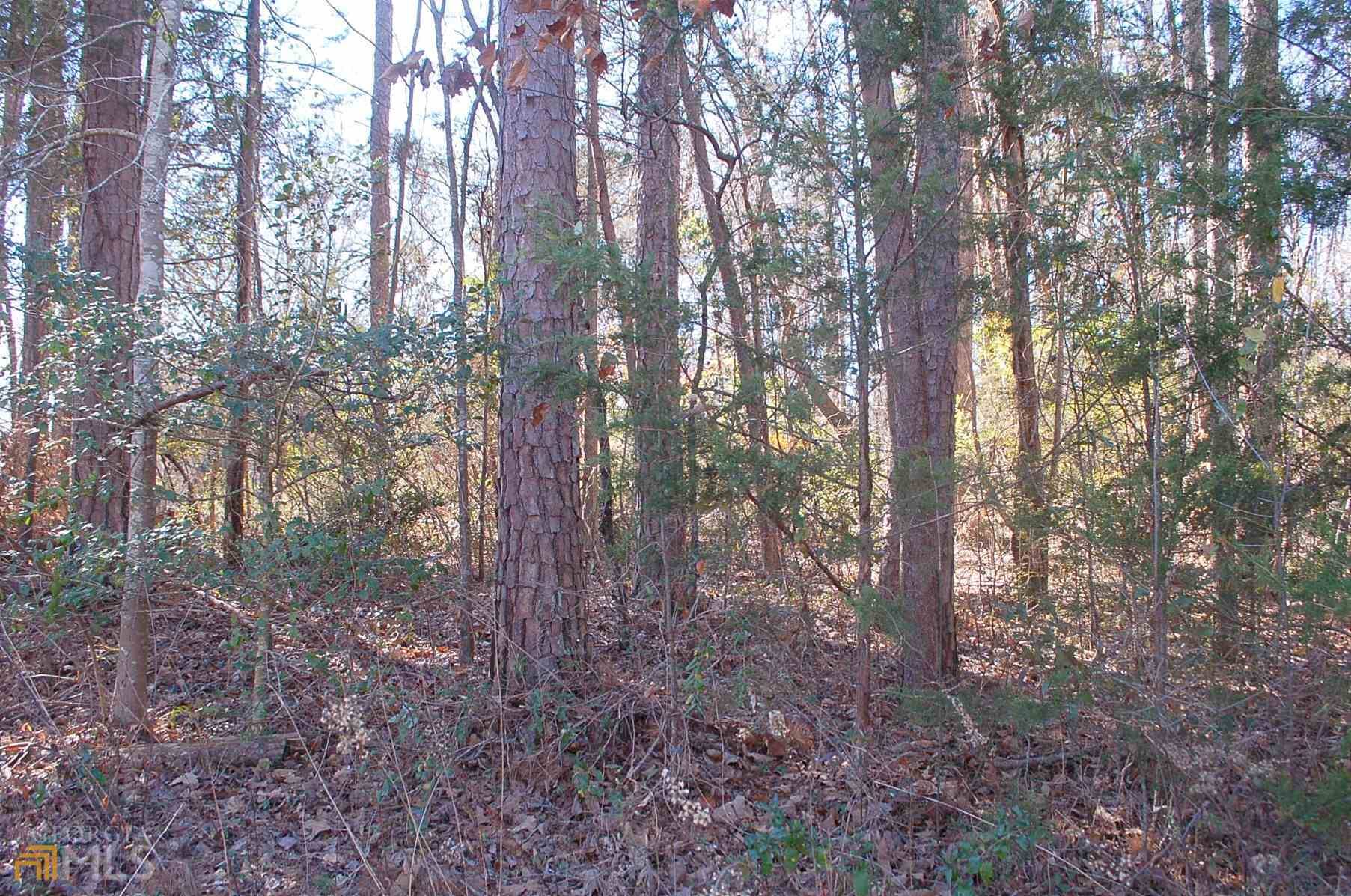 Martin, GA 30557,164 South Century