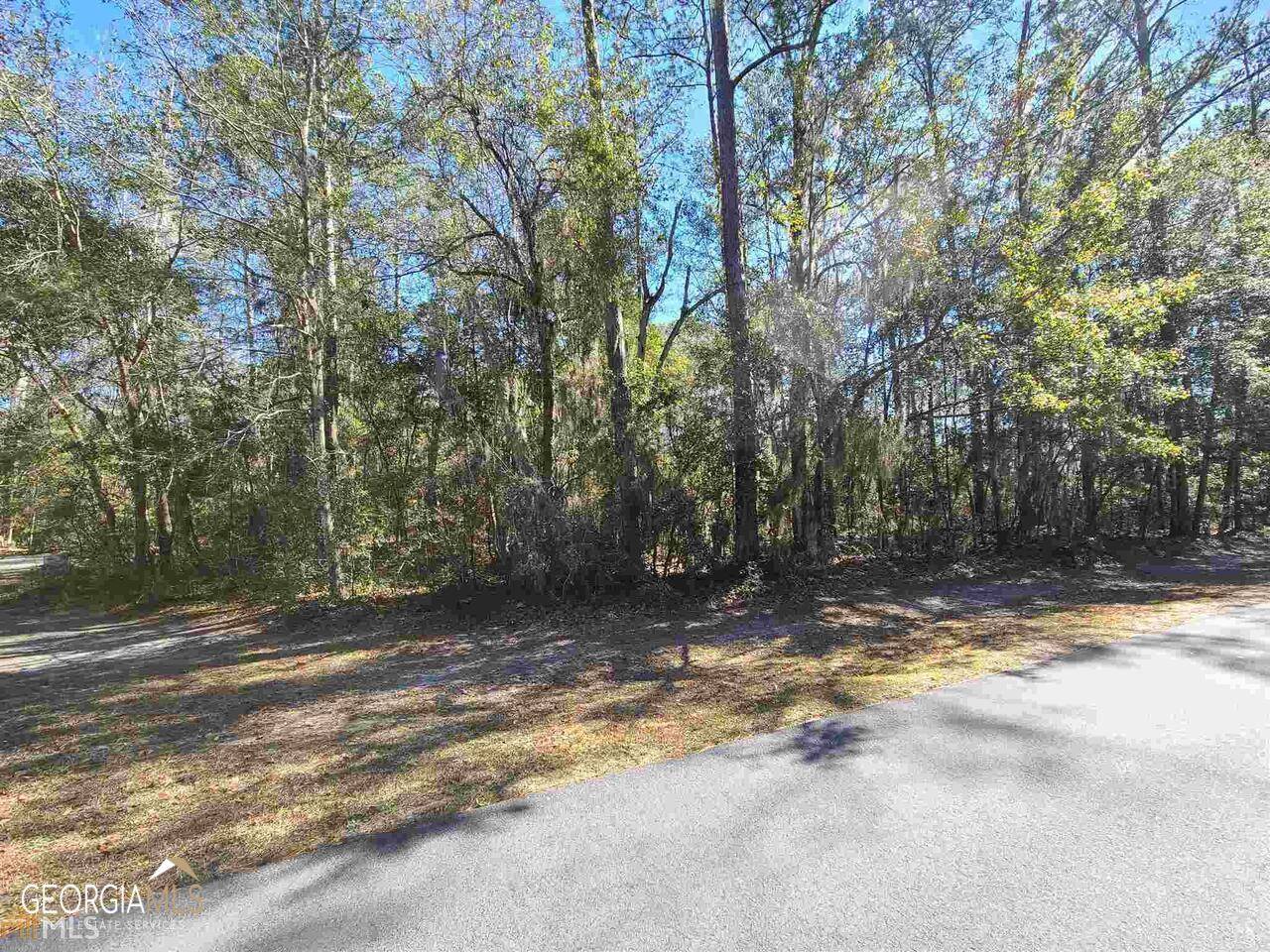 Townsend, GA 31331,0 Belvedere Ct Phase Ii #LOT 91