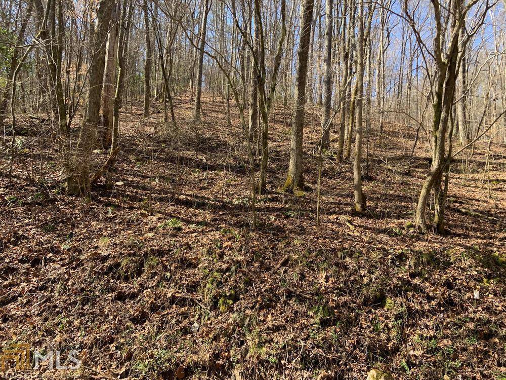 Blue Ridge, 30513,0 Galloway RD #LOT 114