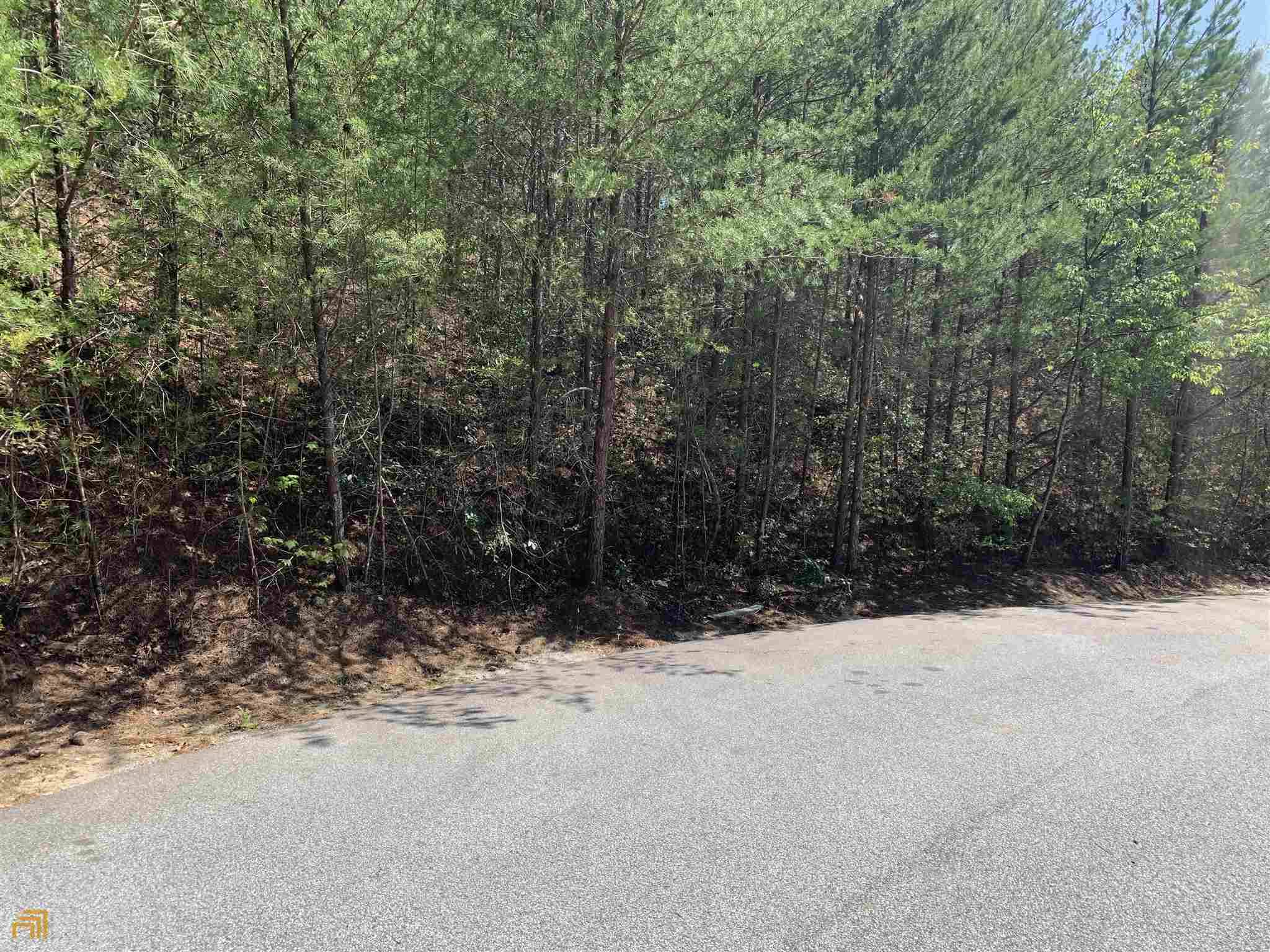 Clayton, GA 30525,0 Cedar Ridge DR #LOT 125