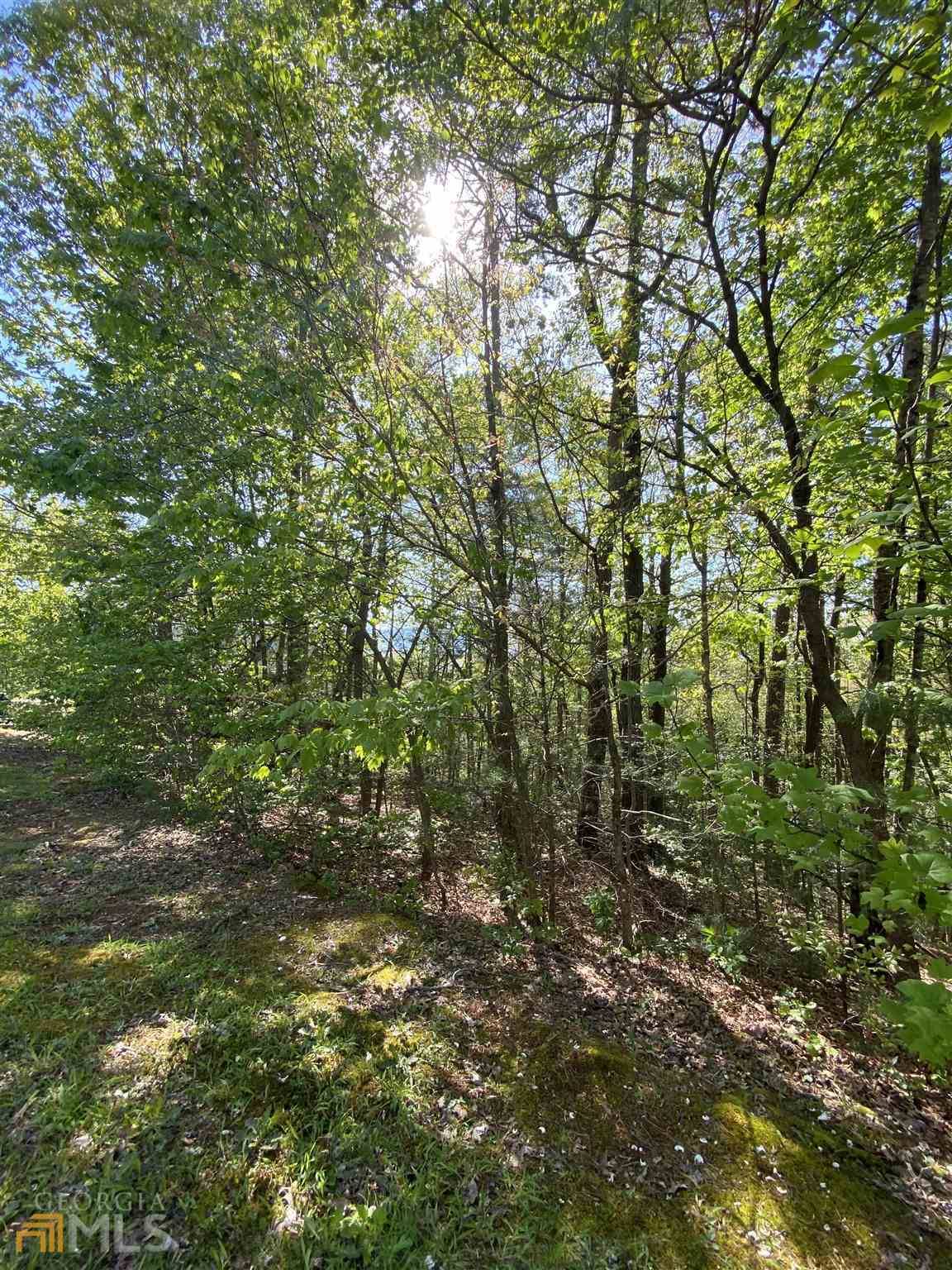 Ellijay, GA 30540,0 Trails End Summit - Lt 38