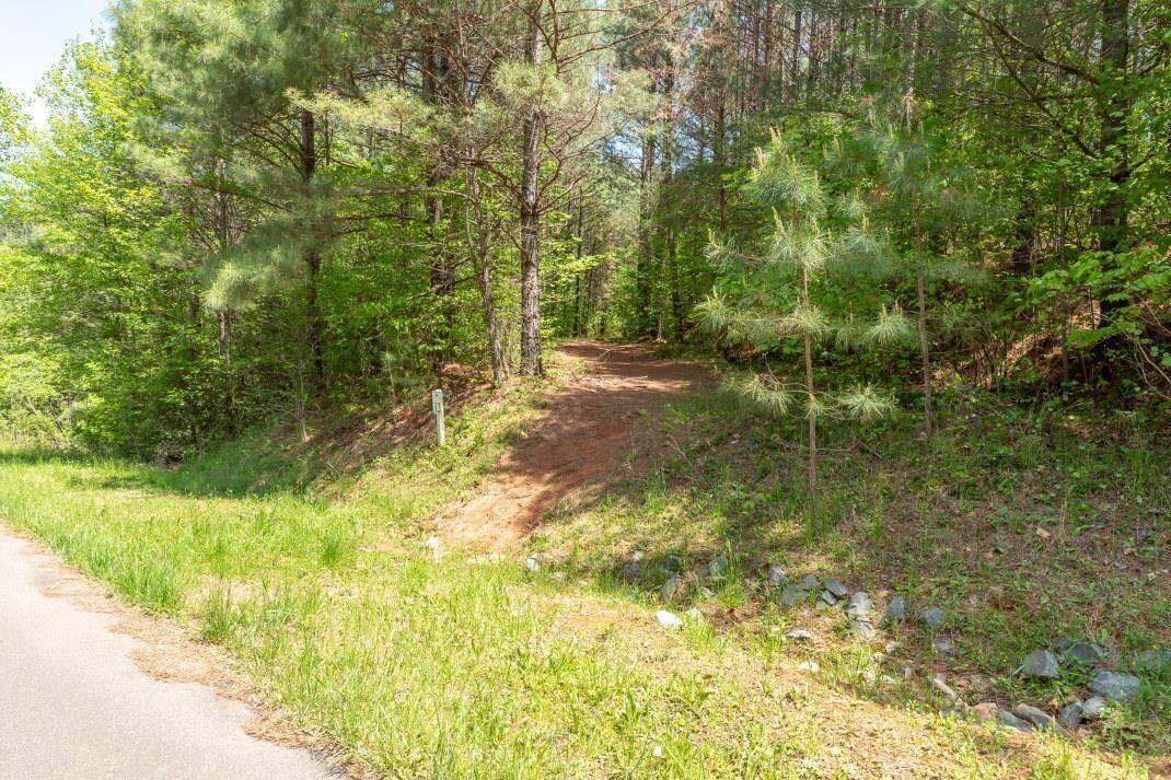 Ellijay, GA 30536,0 Sassafras MTN #LOTS