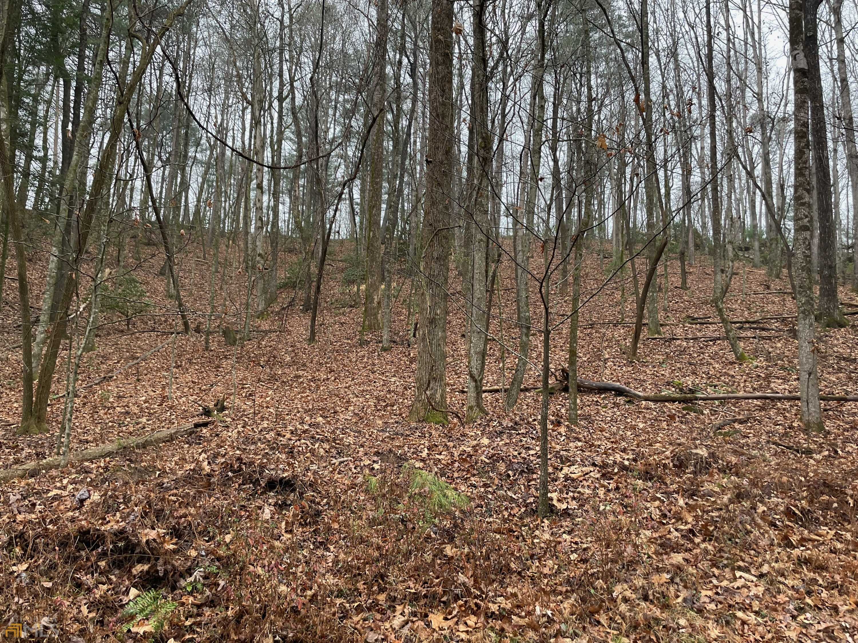 Ellijay, GA 30540,0 Walhalla CT #LOT 387