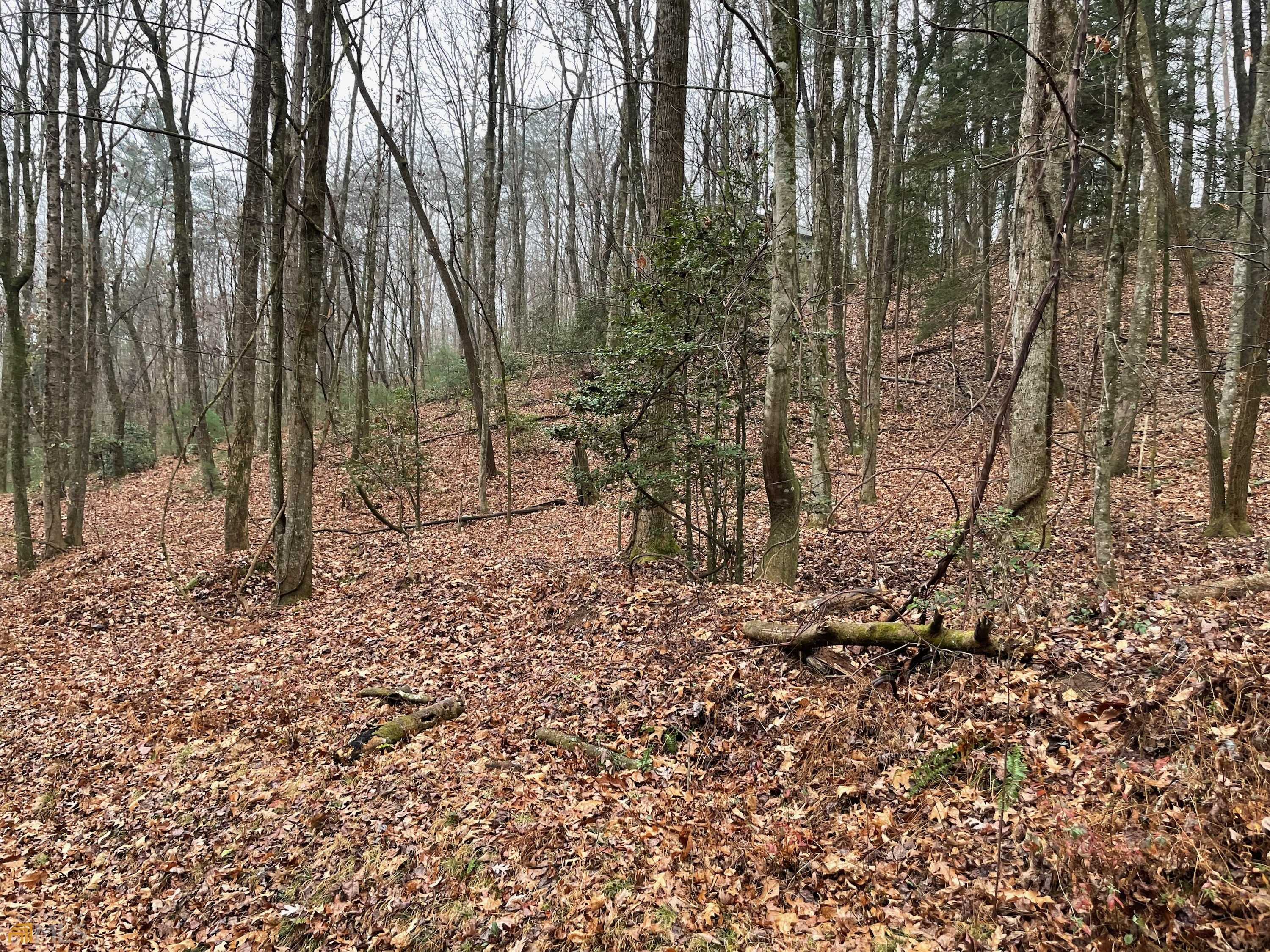 Ellijay, GA 30540,0 Walhalla CT #LOT 387