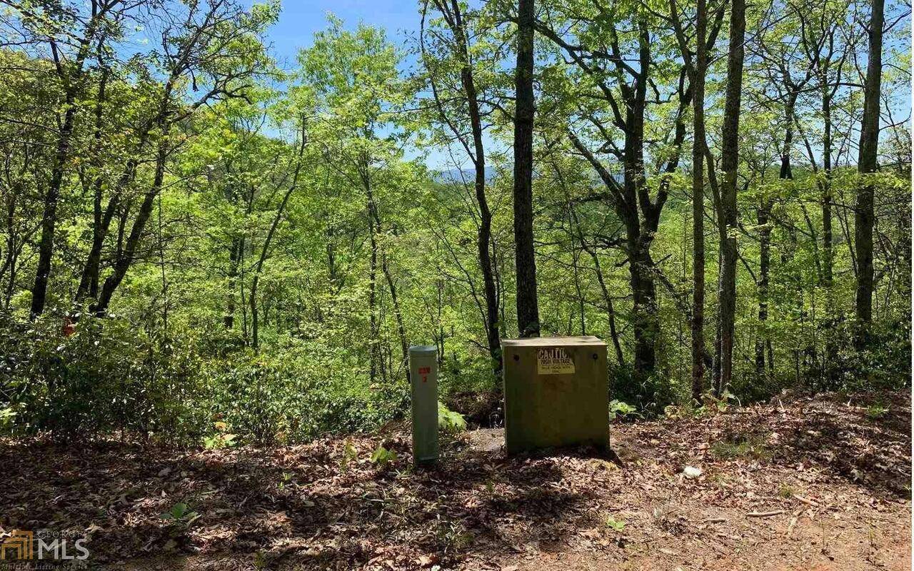 Hayesville, NC 28904,LOT 22B Winchester CV