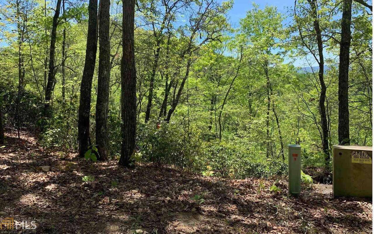 Hayesville, NC 28904,LOT 22B Winchester CV