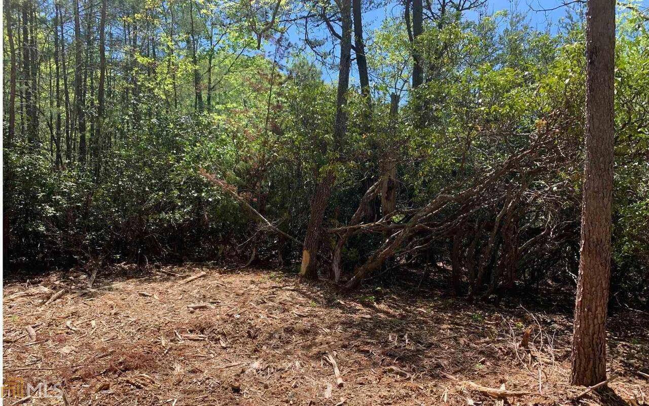 Hayesville, NC 28904,LOT 23B Winchester CV