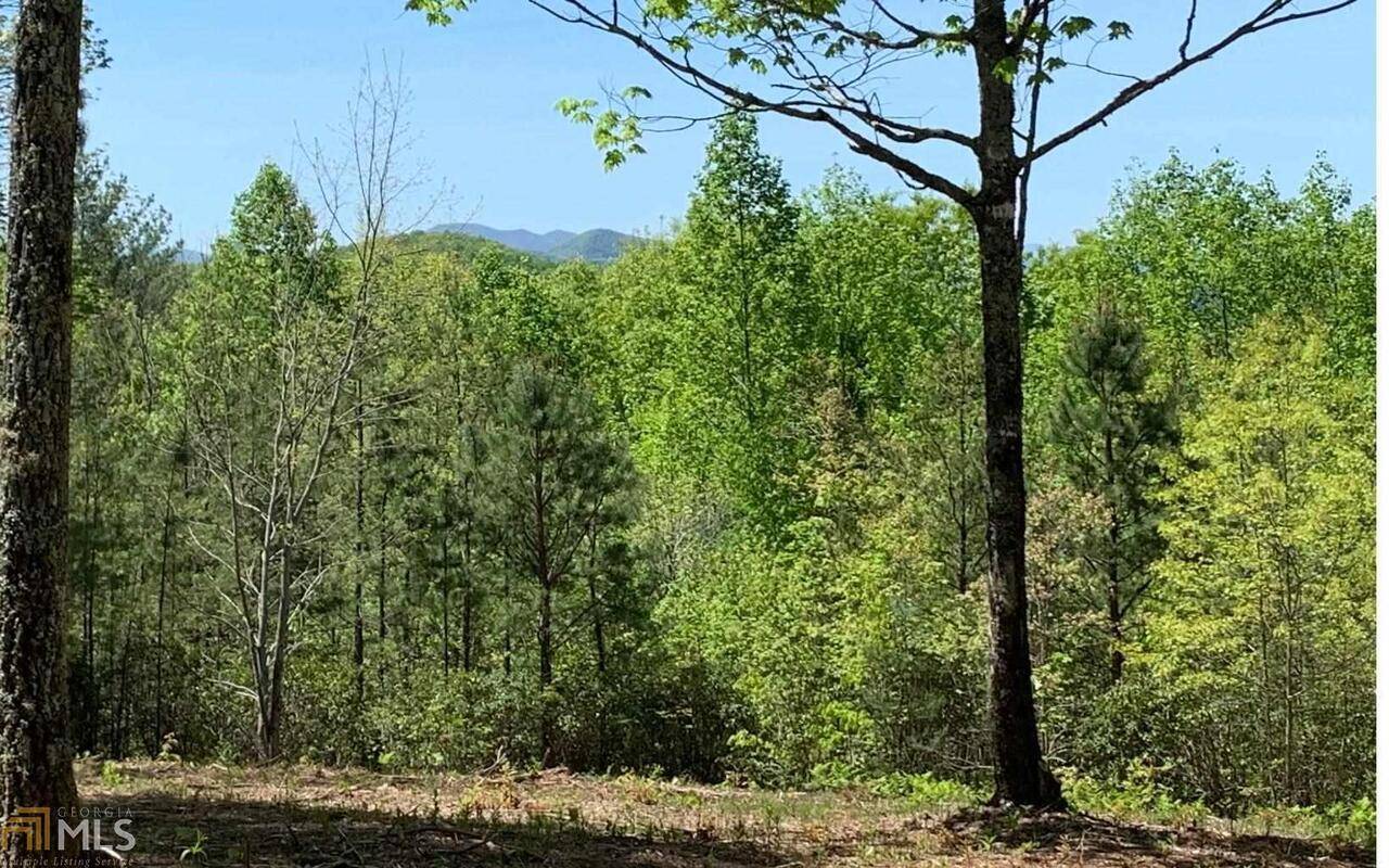 Hayesville, NC 28904,LOT 23B Winchester CV