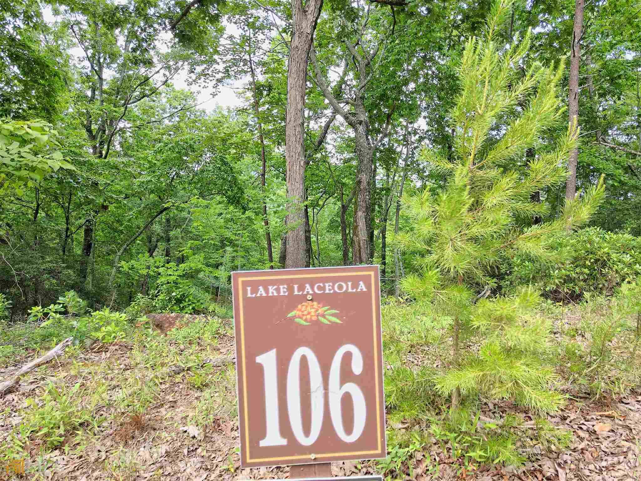 Cleveland, GA 30528,0 Lake Watch PT #LOT 106