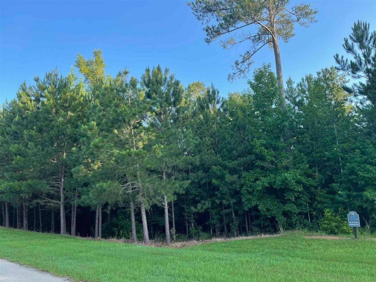 Madison, GA 30650,0 Apalachee Ridge #LOT 15