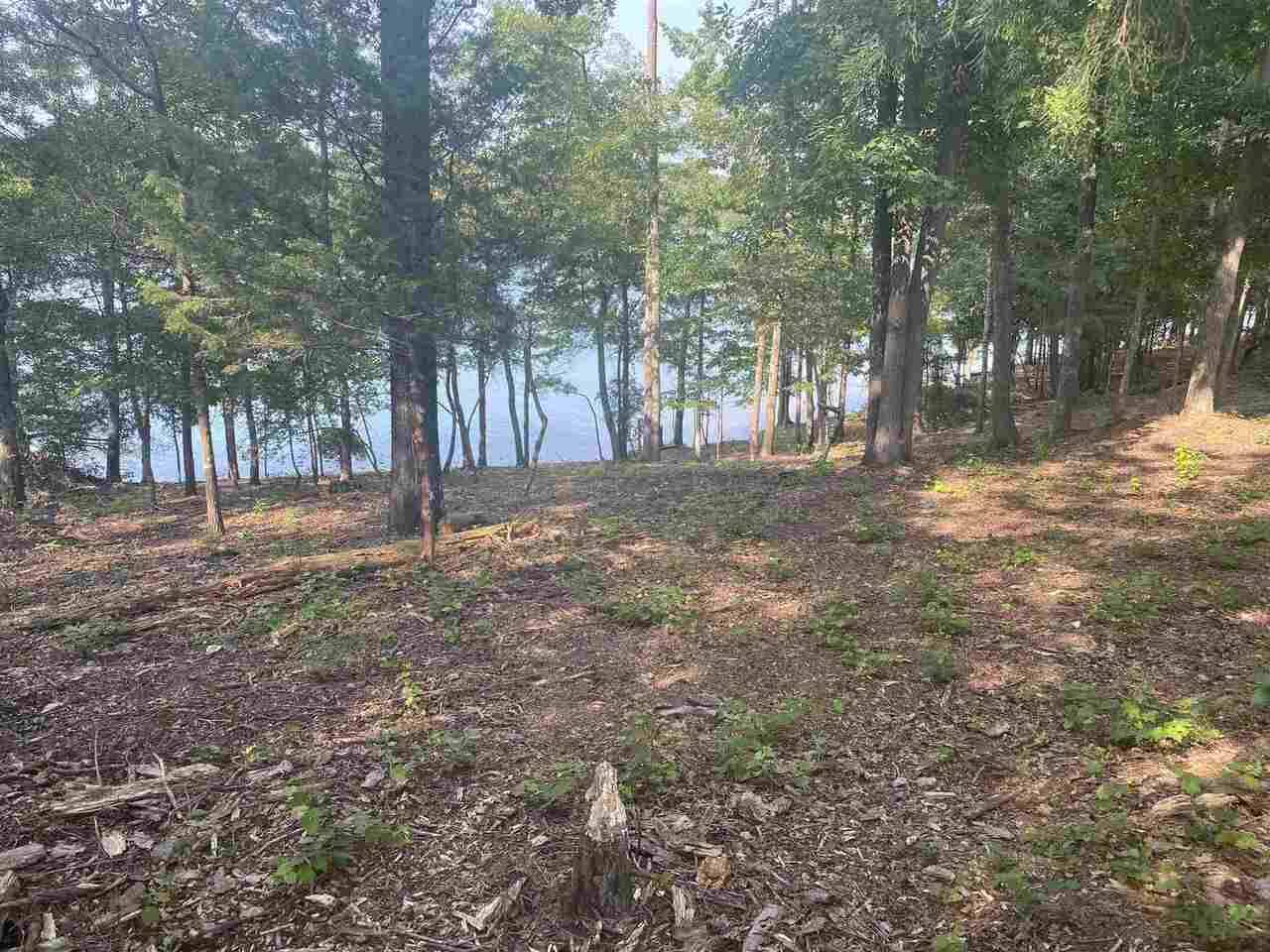 Hartwell, GA 30643,LOT 3 Point Sidney DR