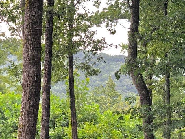 Ellijay, GA 30536,0 Highline DR #LOT 34R