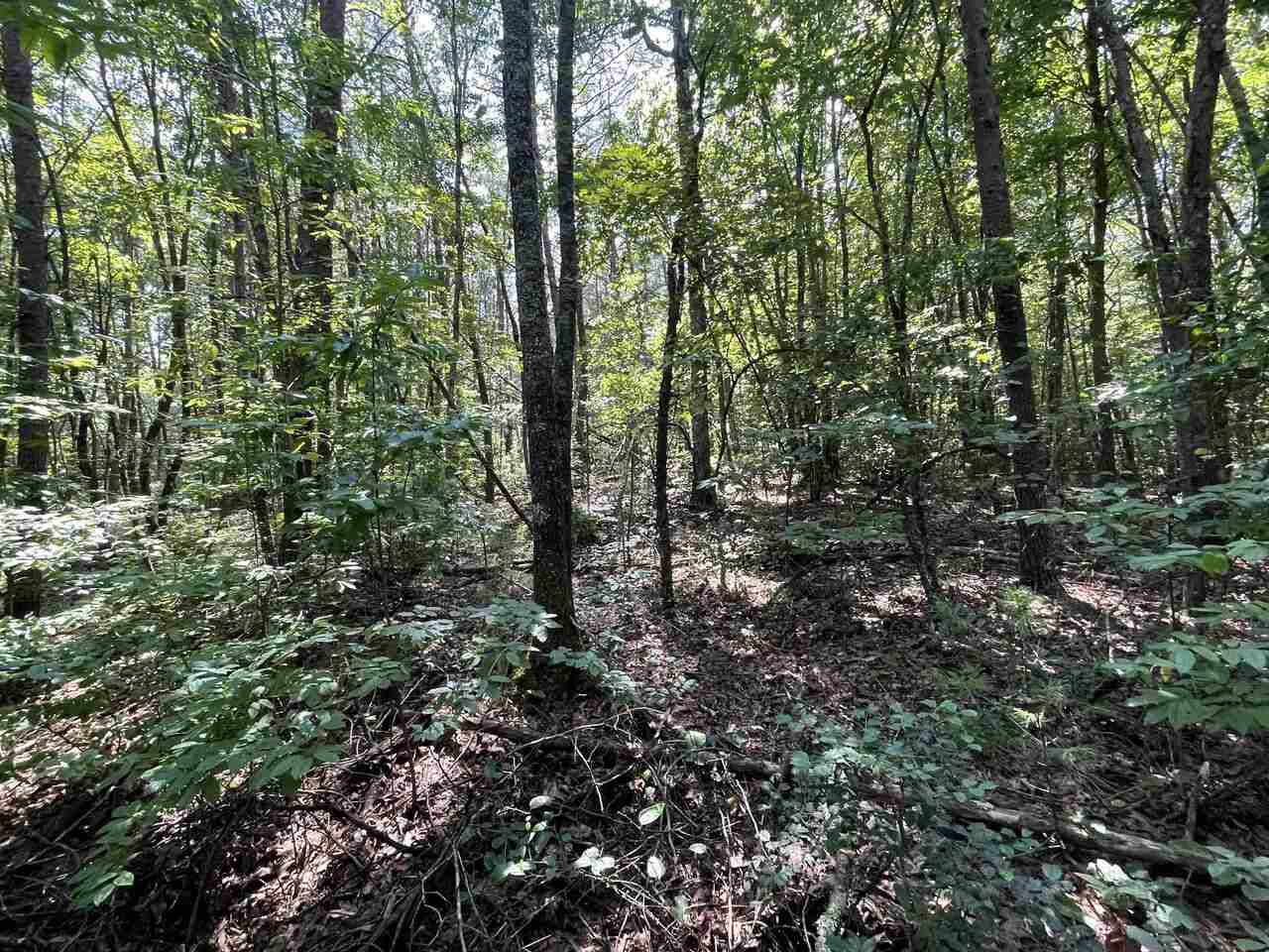 Mccaysville, GA 30555,0 Lowery DR #3 AC