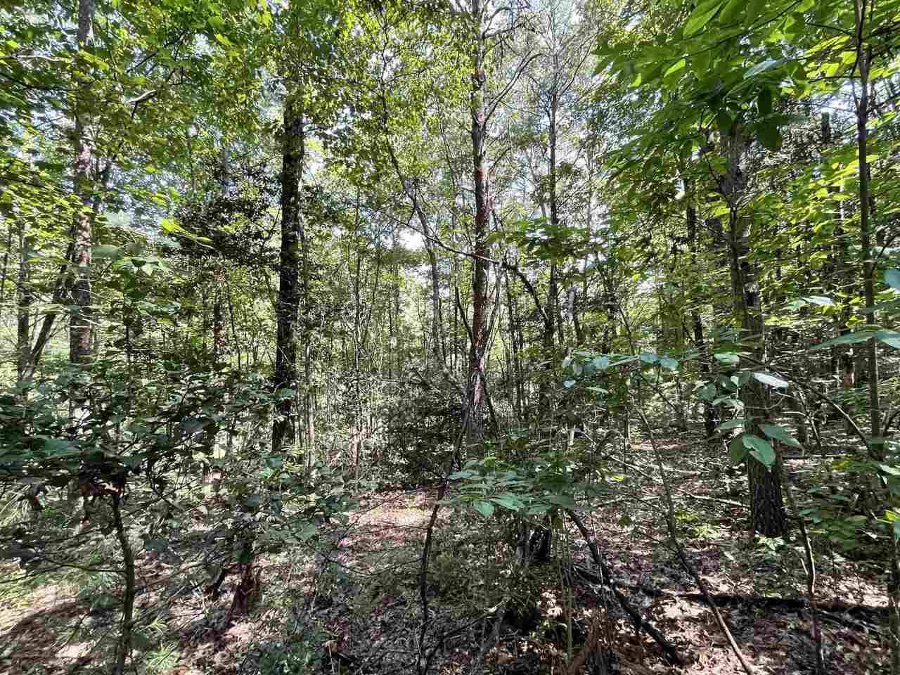 Mccaysville, GA 30555,0 Lowery DR #3 AC