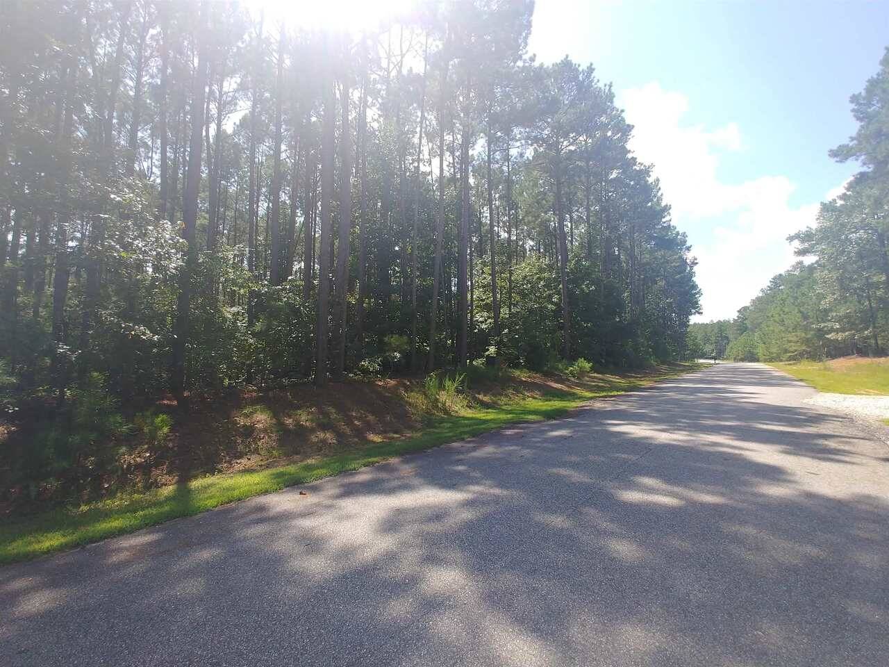 Elberton, GA 30635,0 Bluff RD #LOT 5