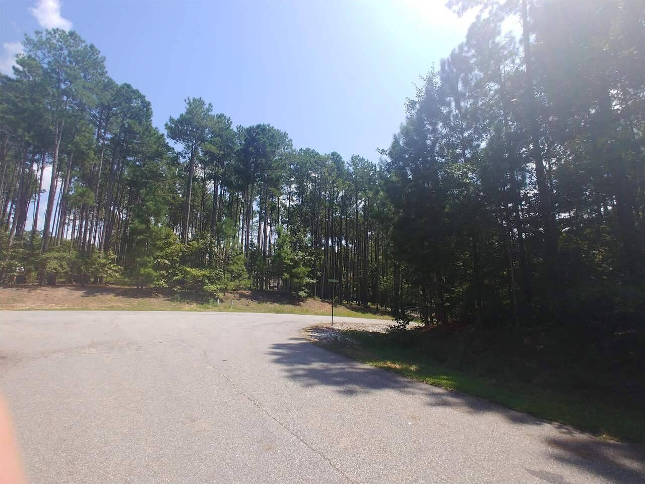 Elberton, GA 30635,0 Bluff RD #LOT 5