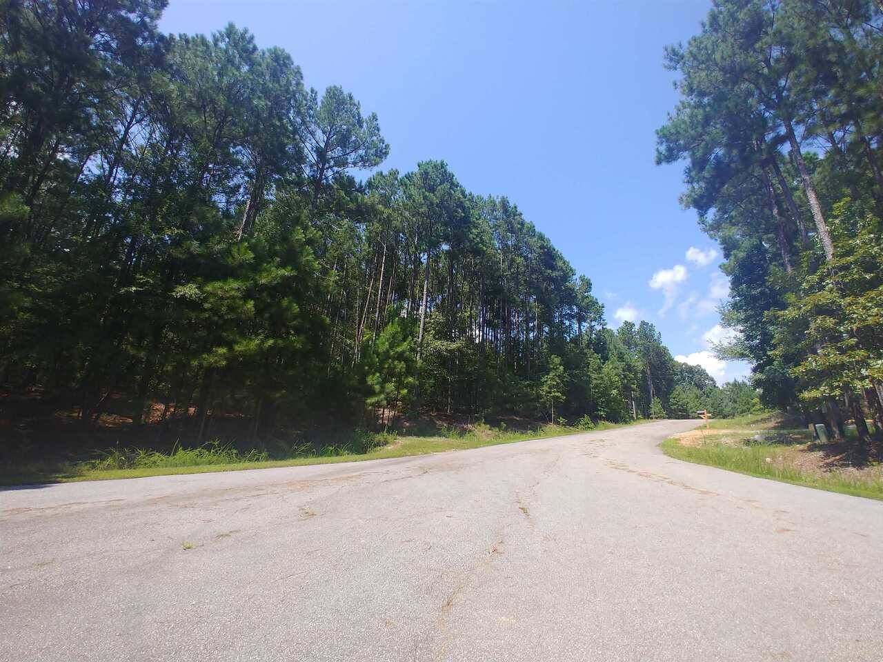 Elberton, GA 30635,0 Bluff RD #LOT 5