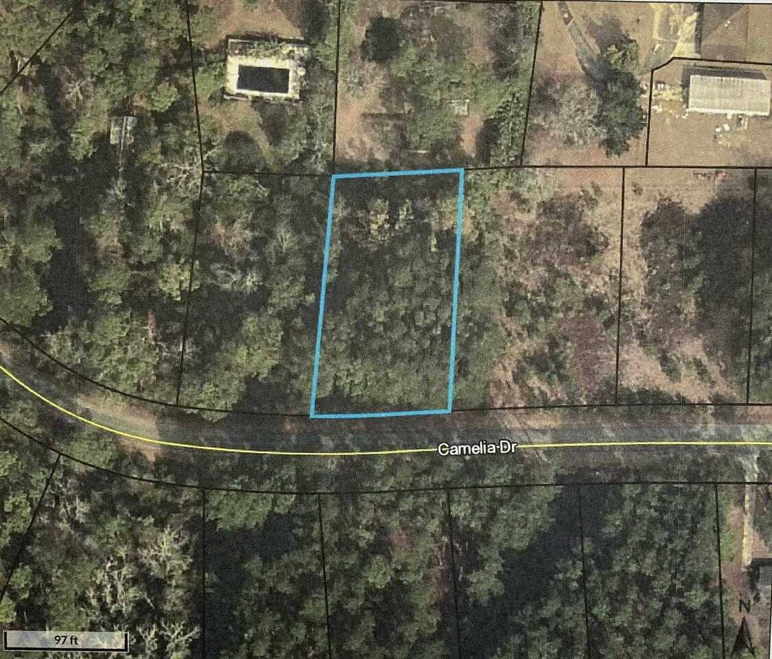 Sylvania, GA 30467,0 Camelia DR #LOT 4