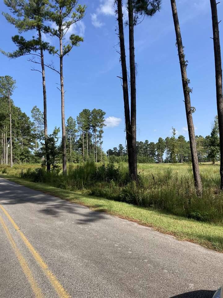 Sylvania, GA 30467,0 Camelia DR #LOT 7