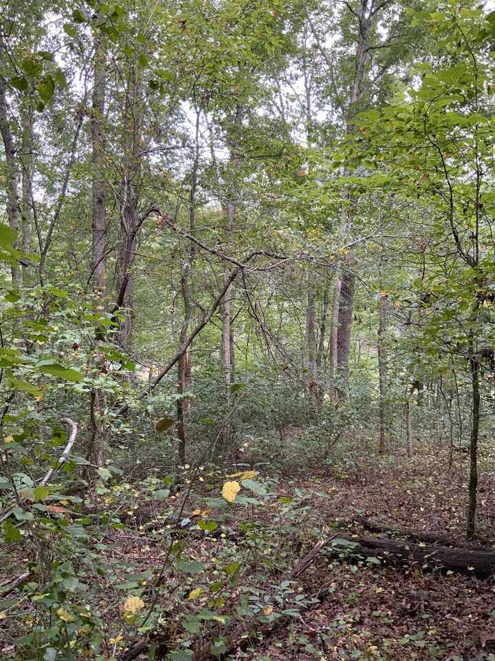 Clarkesville, GA 30523,0 Buckhorn RD #LOT#1