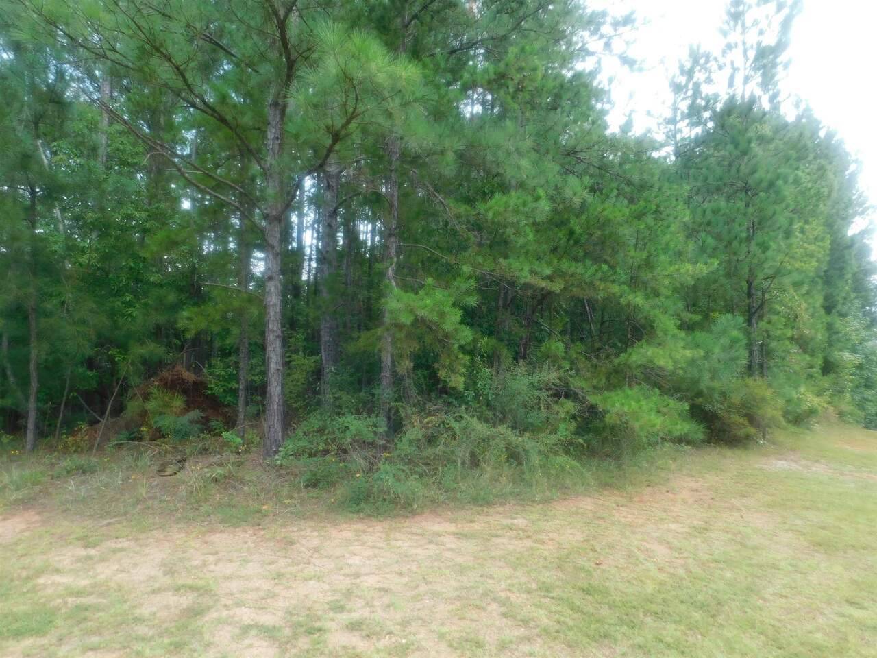 Wedowee, AL 36278,0 Pineywoods DR #47