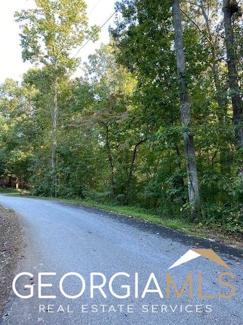 Dawsonville, GA 30534,0 Robertson CT #33