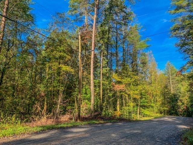 Ellijay, GA 30540,0 Bates DR #LT169