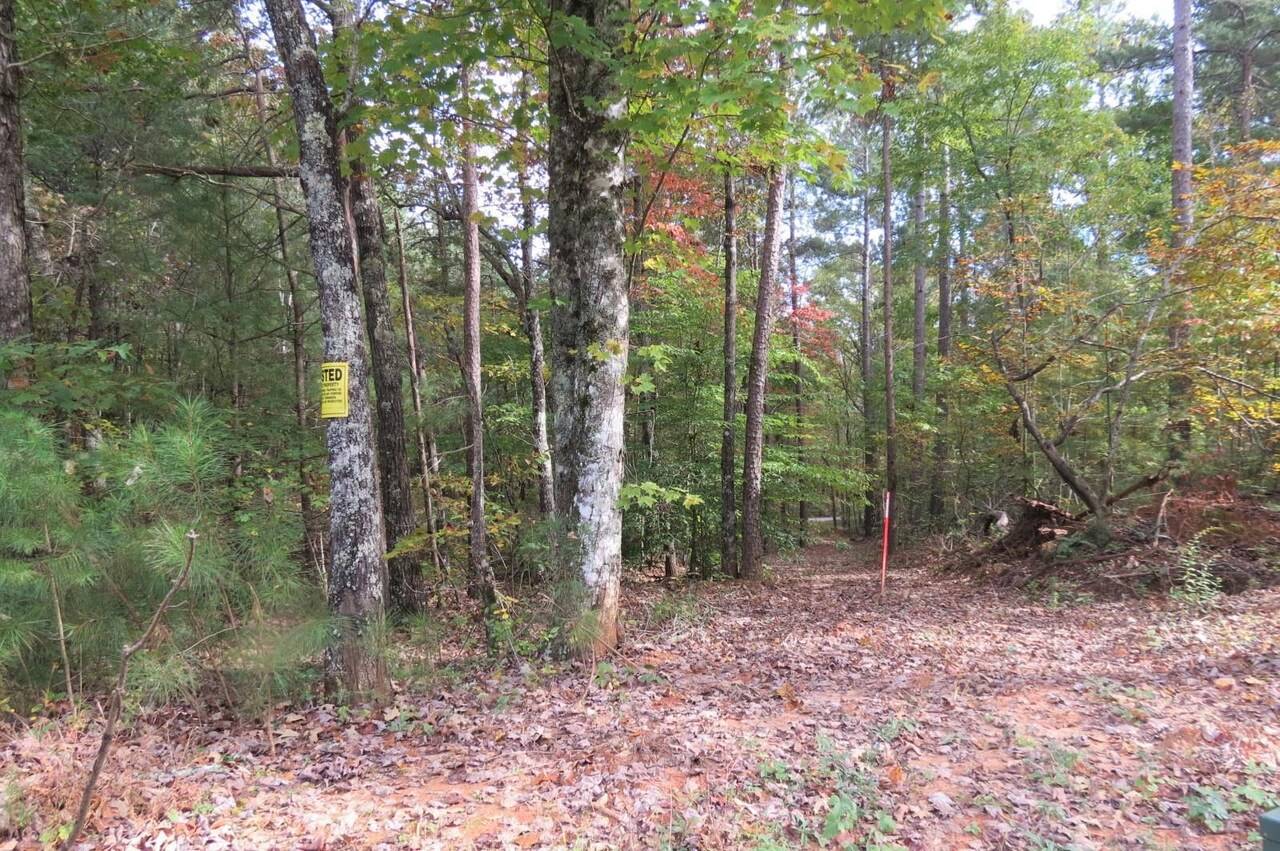 Dahlonega, GA 30533,0 River Highlands RD #LOT 1