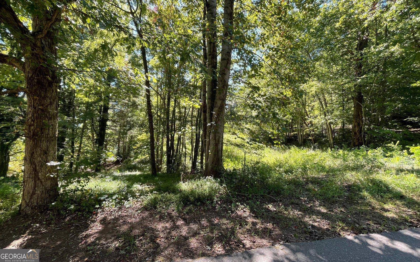 Hayesville, NC 28904,LOT 1 Buena Vista DR