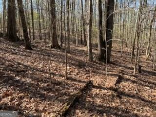 Jonesboro, GA 30238,0 Tara RD #LAND LOT 147