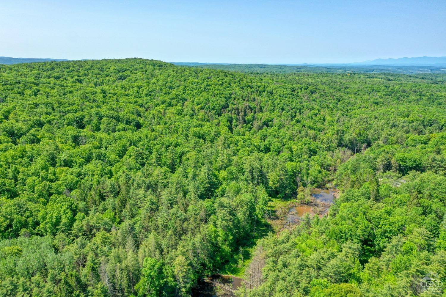Chatham, NY 12136,48 Lundy Ln