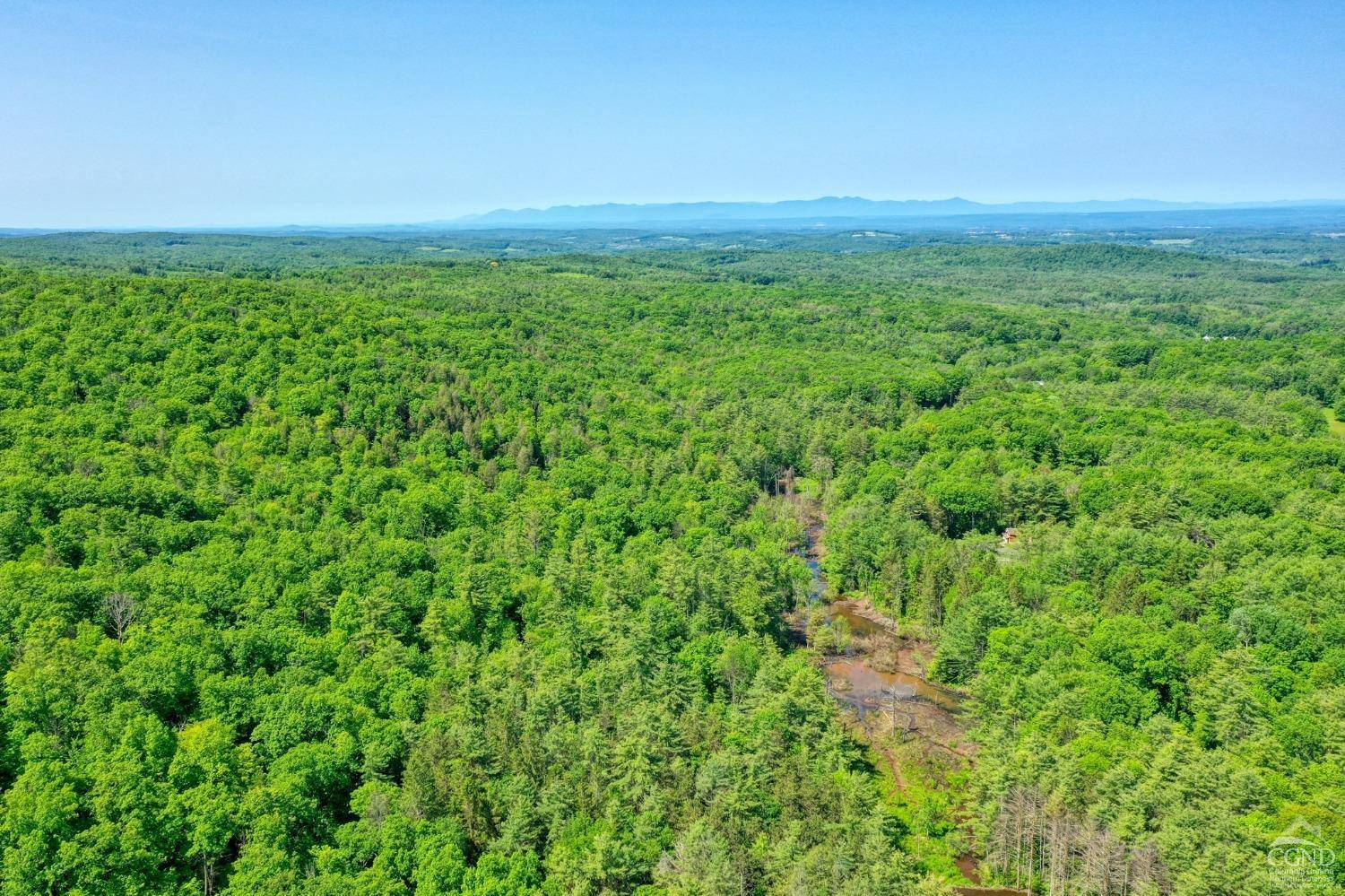 Chatham, NY 12136,48 Lundy Ln