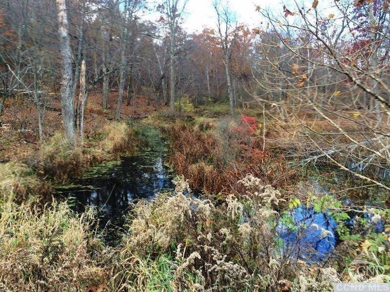Copake, NY 12521,5 Stonegate off Birch Hill RD #Lot 5