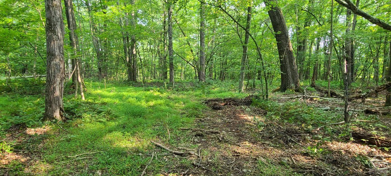 Copake, NY 12521,0 Birch Hill RD #Lot A